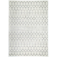 Delicate Grey Modern Rug 160x230 cm