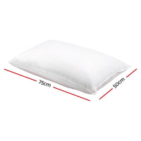 Set of 2 Duck Down Pillow - White