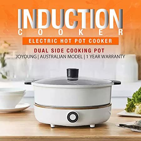 IH Induction Cooker with Hot Pot C21-CL01 300W-2100W