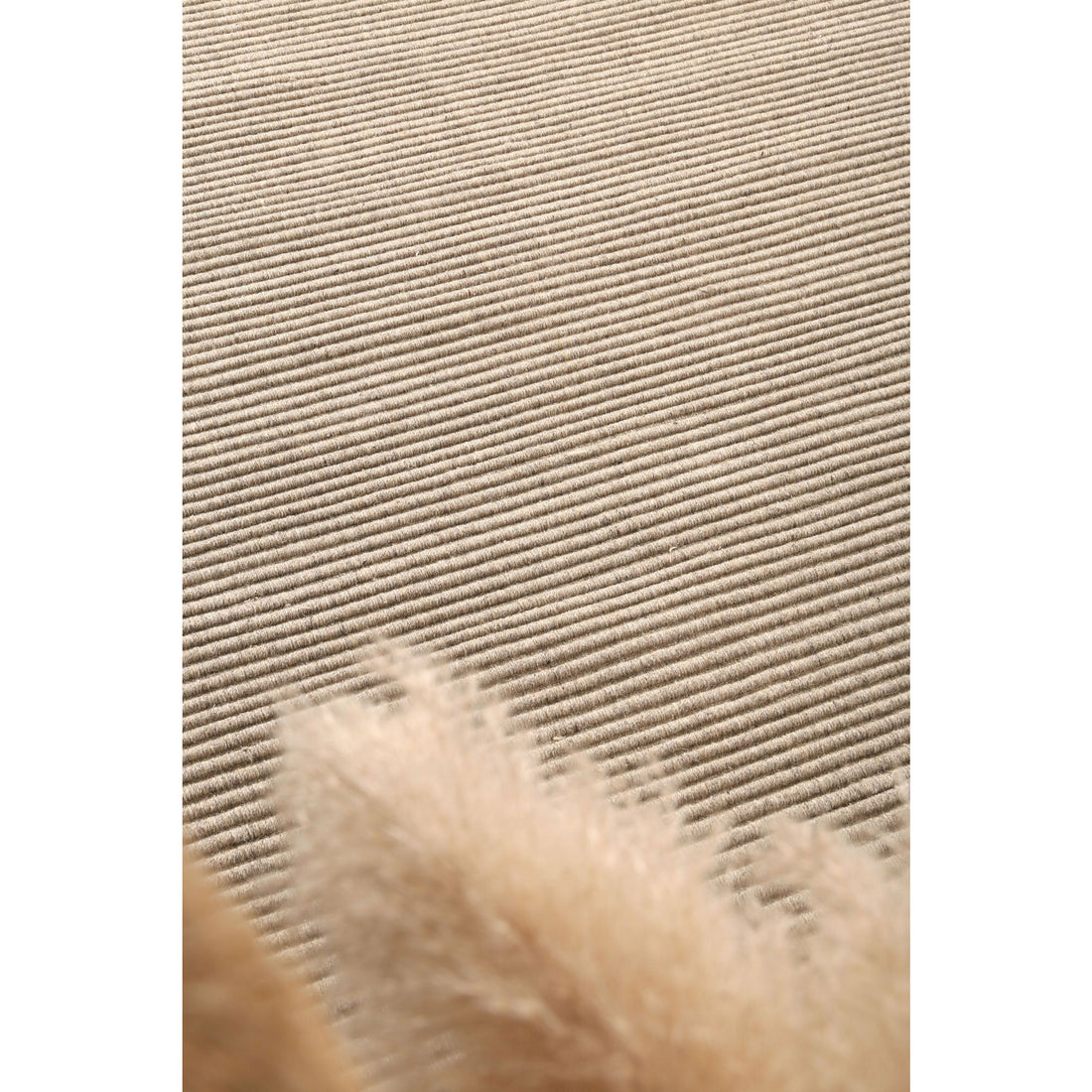 Leilani Modern Wool Ash Rug 240x330cm